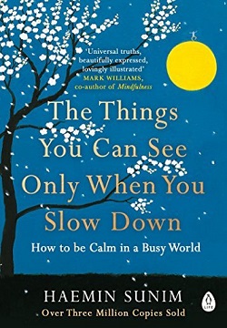 The Things You Can See Only When You Slow Down: Bring calm to your life with the ultimate mindfulness guide from a Buddhist monk