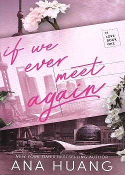 If We Ever Meet Again