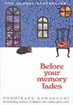 Before Your Memory Fades