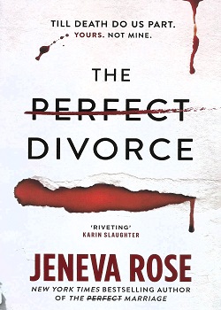 The Perfect Divorce