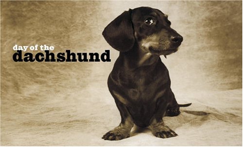 Day of the Dachshund Note Cards