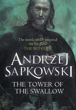 The Tower of the Swallow: Witcher 6