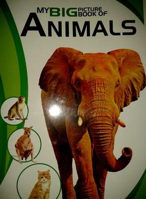 My Big Book Of Animals
