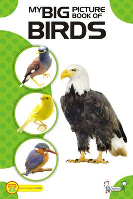My Big Book Of Birds