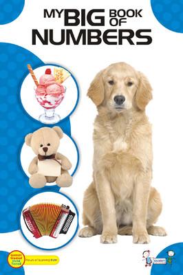 BIG PICTURE BOOK OF: NUMBER