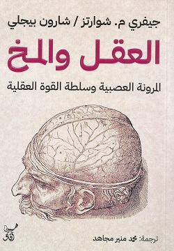 العقل والمخ