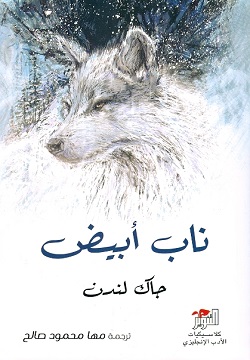 ناب أبيض